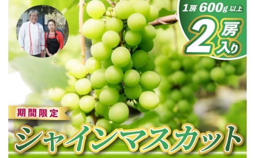 【ふるさと納税】レストランのプロが育てる！鹿嶋市産 シャインマスカット 2房 (大粒600g以上/房) ＜皮ごと食べられる極上ぶどう＞(KAE-14)