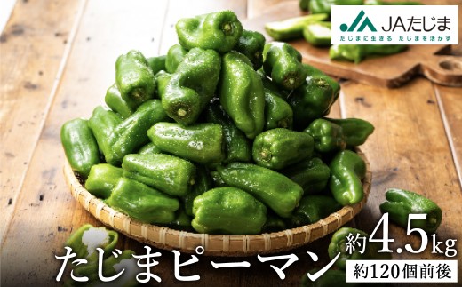 関西有数のピーマン産地！濃い緑で肉厚！ たじまピーマン 約4.5kg 