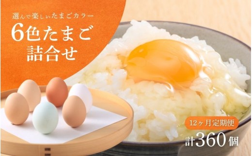 【12回定期便】キムラファームの産みたて卵 6色たまご詰合せ 30個 産みたてたまご たまご 卵 玉子 タマゴ 鶏卵 オムレツ 卵かけご飯 たまご焼き 新潟県 五泉市 先行予約（2025年9月以降順次発送）