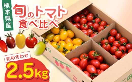 【期間限定】熊本県産 減農薬栽培 トマト ミディトマト 2.5kg 詰め合わせ 食べ比べ【矢仁田農園】