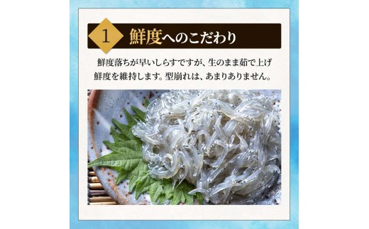 愛知県南知多町のふるさと納税 しらす 訳あり 2kg 1kg×2箱 しらす干し シラス ごはん おかず チャーハン パスタ 料理 大きめ ランキング こだわり 鮮度 天塩 マル伊商店 愛知県 南知多町