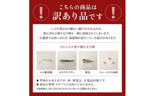 愛知県南知多町のふるさと納税 しらす 訳あり 2kg 1kg×2箱 しらす干し シラス ごはん おかず チャーハン パスタ 料理 大きめ ランキング こだわり 鮮度 天塩 マル伊商店 愛知県 南知多町
