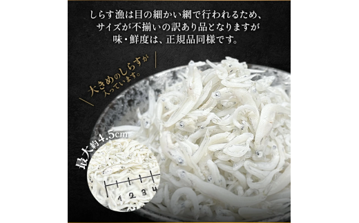 愛知県南知多町のふるさと納税 しらす 訳あり 2kg 1kg×2箱 しらす干し シラス ごはん おかず チャーハン パスタ 料理 大きめ ランキング こだわり 鮮度 天塩 マル伊商店 愛知県 南知多町