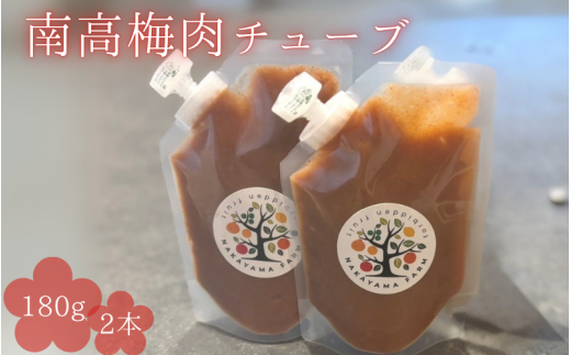 南高梅肉チューブ 180g×2 / ねり梅 練り梅 紀州南高梅 南高梅 梅肉 調味料 和歌山県 田辺市【nak045-1】 1440834 - 和歌山県田辺市