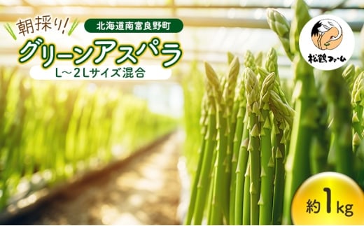 朝採り グリーンアスパラ L～2Lサイズ混合 1kg［松鶴ファーム］アスパラ アスパラガス ハウスアスパラ 野菜 やさい 新鮮 とれたて 甘い 北海道 南富良野