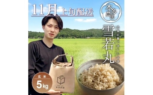 SB0730　11月上旬配送／令和7年産【玄米】雪若丸　5kg 農家直送 HO