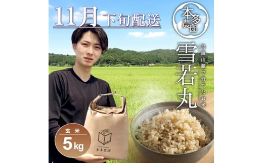 SB0732　11月下旬配送／令和7年産【玄米】雪若丸　5kg 農家直送 HO