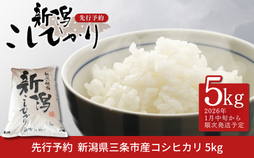 先行予約 コシヒカリ 5kg 新潟県産 [2026年1月中旬から順次発送予定] 令和7年産 2025年産 こしひかり 令和7年度 [小林農園] 