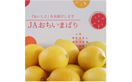 <先行予約>瀬戸内レモン小箱 約2.5K JA選果品 2L~Mサイズ【1644255】 2190710 - 愛媛県上島町