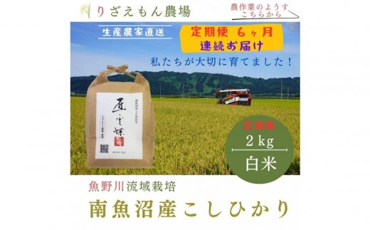《新米予約受付》【定期便６回×２kg≪合計１２kg≫】令和７年産　南魚沼産コシヒカリ  白米 2kg　＼生産農家直送／【2025年10月上旬より順次発送予定】 474124 - 新潟県南魚沼市