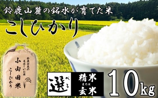 【令和7年度先行予約】こしひかり 10kg 鈴鹿山麓の銘水が育てた米、米どころ三重県産小山田地区「こしひかり(玄米)」10kg 小山田米 2191488 - 三重県四日市市