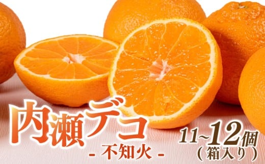 【先行予約】 内瀬デコ （不知火） ／ みかん デコポン でこぽん 柑橘 フルーツ 果物 くだもの 南伊勢町 伊勢志摩産