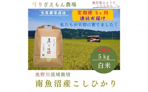 《新米予約受付》【定期便3回×5kg《合計15kg》】令和７年産　南魚沼産コシヒカリ　白米5kg　＼生産農家直送／【2025年10月上旬より順次発送予定】 514181 - 新潟県南魚沼市