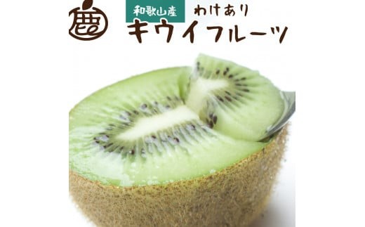 [11月より発送]家庭用キウイフルーツ2.5kg+250g(傷み補償分)[わけあり・訳あり・扁平果] ※北海道・沖縄・離島への配送不可 / 和歌山 フルーツ 果物 キウイ キウイフルーツ おすすめ[ikd137C]