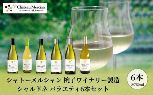 シャトー・メルシャン 椀子ワイナリー製造 シャルドネ バラエティ6本セット ワイン 白ワイン お酒 酒 アルコール 長野 長野県 上田市[№5312-1347]