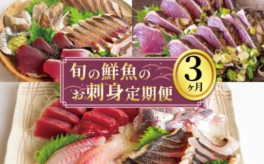 お刺身 定期便 3回 カツオ 鰹 フィーレ 炙り 刺身 刺し身 丼 寿司 海鮮 魚介 鮮魚 旬 ご飯に合う 米に合う コメに合う 冷蔵 高知県 須崎市 須崎魚商人組合 GK2000 2191850 - 高知県須崎市