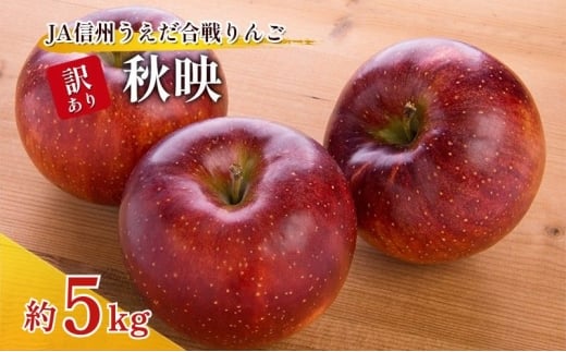 訳あり りんご JA信州うえだ 合戦りんご 秋映 約5kg（10玉～20玉） リンゴ 林檎 果物 くだもの フルーツ 信州 長野 離乳食 訳アリ わけあり 傷[№5312-1382]