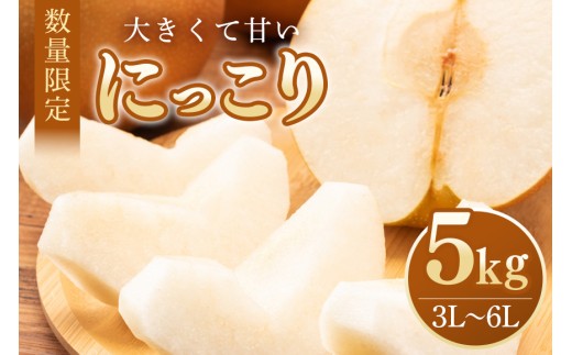 【数量限定・先行予約】 梨 にっこり 5kg 3L～6L 7～14玉 なし ナシ 果物 フルーツ 国産 【10月1日～11月末発送予定】 70-O