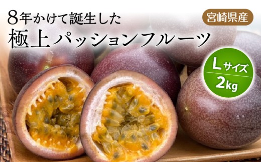 《2025年発送》【期間・数量限定】8年かけて誕生した宮崎県産極上パッションフルーツL 2kg_M057-005