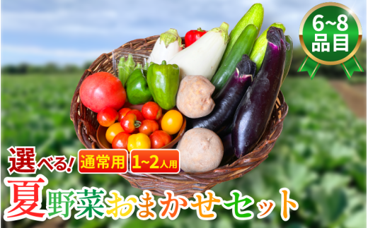 野菜 夏野菜 セット 6～8品目 1人～2人用 詰め合わせ 茄子 きゅうり ピーマン トマト ミニトマト 白茄子 オクラ 大葉 枝豆 ズッキーニ ししとう とうもろこし パプリカ じゃがいも たまねぎ にんじん サラダ カレー 野菜炒め 森商店 徳島県 吉野川市