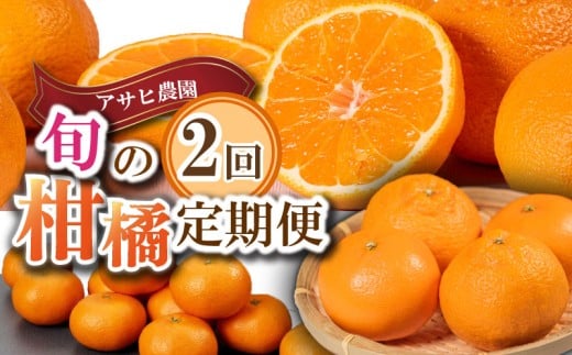先行予約 柑橘 定期便 2回 温州みかん せとか 不知火 数量限定 期間限定 内瀬みかん 内瀬デコ アサヒ農園 しらぬい 柑橘 みかん 蜜柑 フルーツ 果物 くだもの 贈答用 贈答品 贈答 ギフト プレゼント 国産 ブランド 三重県 伊勢 志摩 南伊勢町