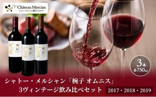 「椀子 オムニス」3ヴィンテージ飲み比べセット ワイン 赤ワイン お酒 酒 アルコール 長野 長野県 上田市[№5312-1344]