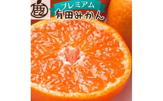 【先行予約】プレミアム有田みかん 10kg+250g（傷み補償分） ※11月より発送(完熟)【光センサー選果】 ※北海道・沖縄・離島配送不可 /みかん ミカン 果物 果実 有田 和歌山 フルーツ オレンジ【ikd215】 2191903 - 和歌山県古座川町