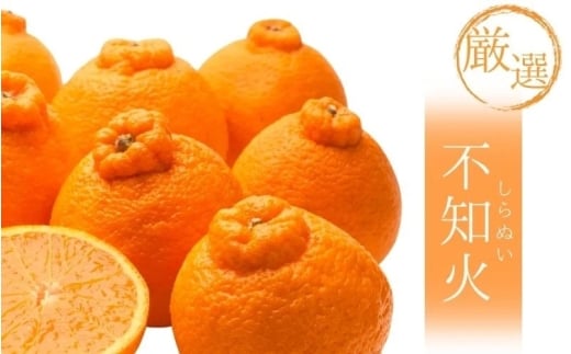 ＜2月より発送＞【先行予約】厳選不知火1kg+250g（傷み補償分）【デコポンと同品種・人気の春みかん】/ みかん 果物 くだもの フルーツ 和歌山 わかやま おすすめ 人気 有田みかん 柑橘 ミカン 不知火 でこぽん デコポン【ikd207B】 1505066 - 和歌山県古座川町