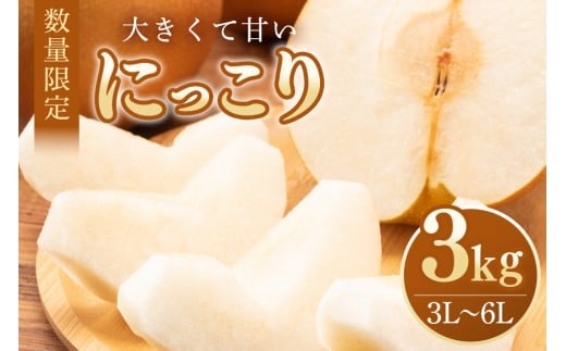 【数量限定・先行予約】 梨 にっこり 3kg 3L～6L 5～8玉 なし ナシ 果物 フルーツ 国産 【10月1日～11月末発送予定】 70-N
