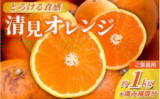 ＜2026年2月より発送＞家庭用 清見オレンジ 1kg+250g（傷み補償分）【光センサー食頃出荷】【樹上完熟きよみオレンジ・清見タンゴール・清美】【わけあり・訳あり】 / オレンジ 清見 おれんじ みかん 柑橘 有田 和歌山 産地直送  くだもの 果物 フルーツ 柑橘類 和歌山 由良町【ikd164B】