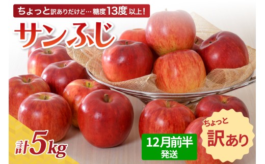 【先行受付】【2025年12月前半発送】【訳あり】 りんご 約5kg サンふじ 青森産  2210318 - 青森県五所川原市