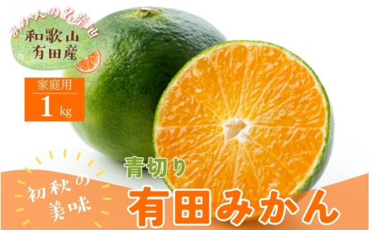 ＜9月中旬～＞【先行予約】有田育ちのご家庭用青切り有田みかん　1kg ※着日指定不可 ※沖縄・離島は配送不可 ※2025年9月中旬～10月中旬頃に順次発送予定　【ard207A】 1471921 - 和歌山県太地町