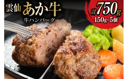 雲仙あか牛 ハンバーグ 150g×5個 [高田牧場 長崎県 雲仙市 item2273] 冷凍 湯煎 温めるだけ 牛 100％ あか牛 和牛 ブランド牛