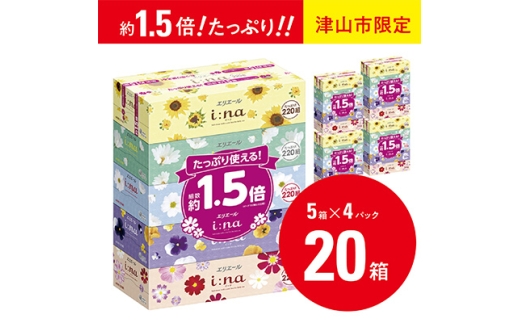 ＜津山工場限定＞エリエール i:na(イーナ)ティシュー 220組5箱×4パック(20箱)【1615610】 1522816 - 岡山県津山市