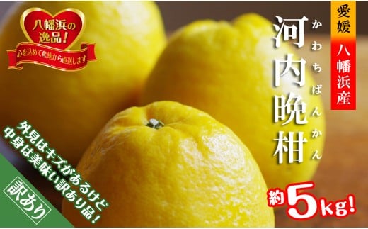 2026年4月～順次出荷　爽やかでみずみずしい!初夏の「河内晩柑」約5キロ＜訳あり＞＜C39-82＞【1640764】