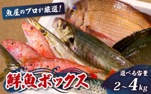 鮮魚BOX 2〜4kg 刺身 刺し身 旬 海鮮 鮮魚 魚介 焼き 煮付け 炙り カルパッチョ 寿司 丼 おつまみ おかず ご飯に合う 米に合う コメに合う 家庭用 父の日 高級 冷蔵 高知県 須崎市 土佐 須崎魚商人組合 GK007-all