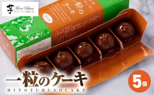 一粒のケーキ 5個入　KN035-004-03 2237048 - 鹿児島県鹿屋市