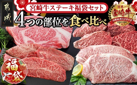 [福袋★2026]宮崎牛ステーキ福袋セット_AF-2502-F2026_(都城市) 食べ比べ ミスジ・サーロイン・モモ・リブロース 特別セット