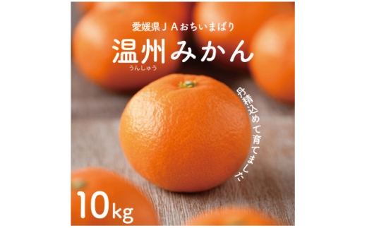 <先行予約>瀬戸内の温州みかん10kg L~S JA選果品【1644274】 2190708 - 愛媛県上島町