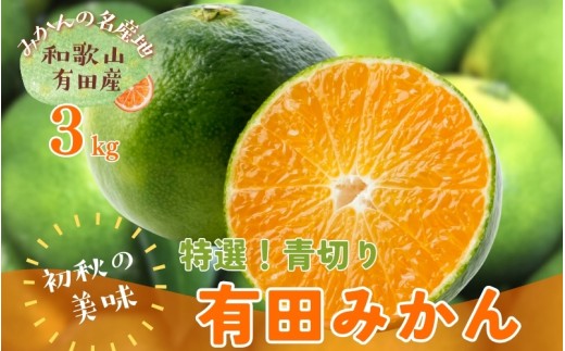 【先行予約】【2025年9月中旬~10月中旬頃発送予定】【初秋の美味】【農家直送】特選!青切り有田みかん 3kg 【ard043B】 859759 - 和歌山県太地町