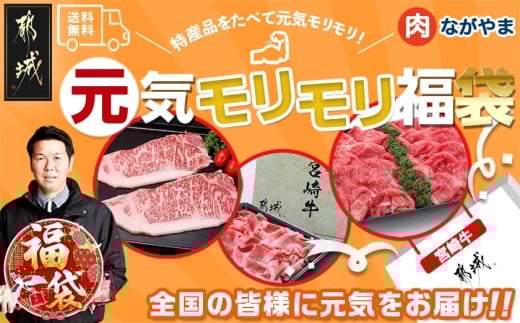 [福袋★2026]宮崎牛切り落とし・鉄板焼き用サーロイン2枚セット_AE-2501-F2026_(都城市) A4 4等級 牛肉 牛バラ切り落とし肉 牛ウデ 牛モモ切り落とし肉 各500g