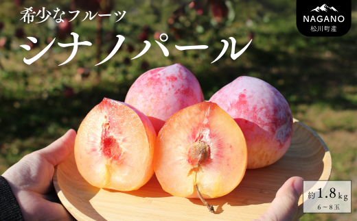 KP03-25A 高級プラム シナノパール 約1.8kg（6～9玉）贈答 / 2025年9月中旬頃〜発送予定 // 長野県 南信州 松川町産 プラム すもも スモモ 高級フルーツ 希少 産地直送 農家直送 新鮮 数量限定 2kg 412362 - 長野県松川町