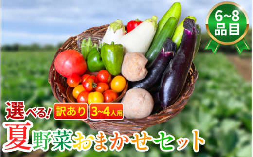 訳あり 野菜 夏野菜 セット 6～8品目 3人～4人用 詰め合わせ 茄子 きゅうり ピーマン トマト ミニトマト 白茄子 オクラ 大葉 枝豆 ズッキーニ ししとう とうもろこし パプリカ じゃがいも たまねぎ にんじん サラダ カレー 野菜炒め 森商店 徳島県 吉野川市