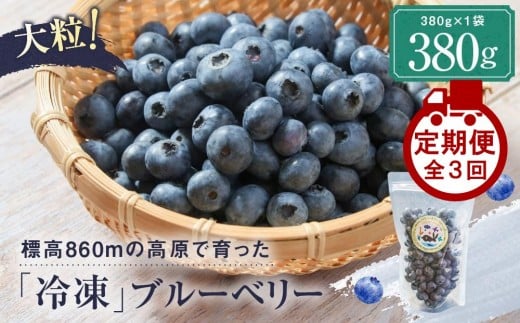 【定期便】治助ファームの北部ハイブッシュブルーベリー「冷凍果実」380g×3回 | ブルーベリー 冷凍 果物 フルーツ 人気 おいしい 飛騨高山 治助ファーム LJ100 2189249 - 岐阜県高山市