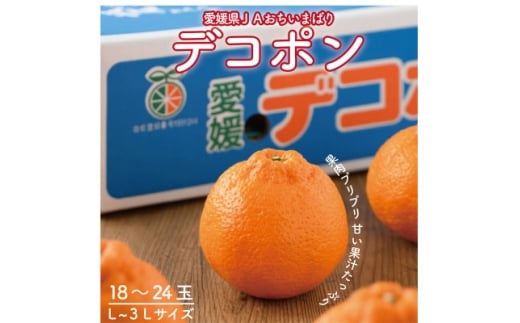 ＜先行予約＞瀬戸内のデコポン 約5kg 3L～L　18玉～24玉　JA選果品　上島・今治産　【1643861】 2190709 - 愛媛県上島町