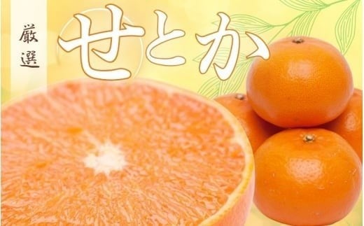 ＜2月より発送＞厳選 せとか 1kg+250g（傷み補償分）【柑橘・春みかんの王様】【光センサー選果・食べ頃出荷】/ 果物 くだもの フルーツ 柑橘 オレンジ 【ikd125C】 485543 - 和歌山県由良町