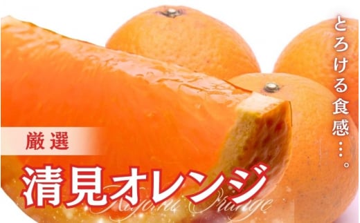 ＜2026年2月より発送＞厳選 清見オレンジ 1kg+250g（傷み補償分）【光センサー食頃出荷】【樹上完熟きよみオレンジ・清見タンゴール・清美】/ みかん 果物 フルーツ 和歌山 おすすめ くだもの 柑橘 オレンジ きよみオレンジ【ikd196B】 2190180 - 和歌山県由良町