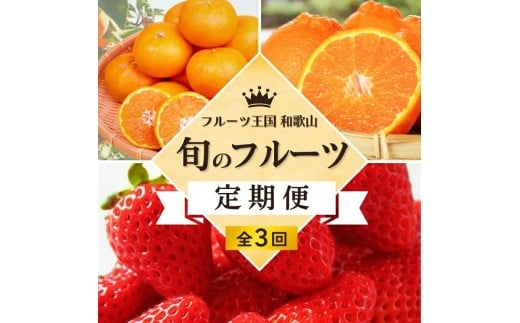 【全3回定期便】 フルーツ大国 和歌山 よりお届け！旬の フルーツ 定期便 B【田村みかん・まりひめ・紀州デコ】 / みかん いちご 甘い 定期便 ※離島配送不可 2188866 - 和歌山県広川町