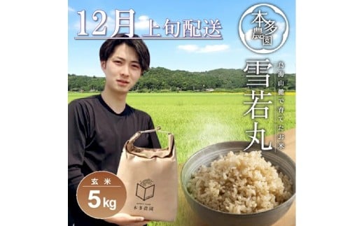 SB0733　12月上旬配送／令和7年産【玄米】雪若丸　5kg 農家直送 HO