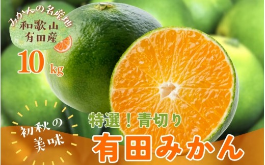 [先行予約][2025年9月中旬〜10月中旬頃発送予定][初秋の美味][農家直送]特選!青切り有田みかん10kg [ard233]